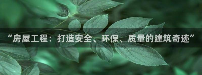 威九国际ppt免费吗