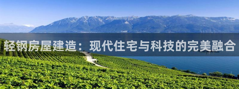 威九国际最受欢迎的功能：轻钢房屋建造：现代住宅与科技的完美融合