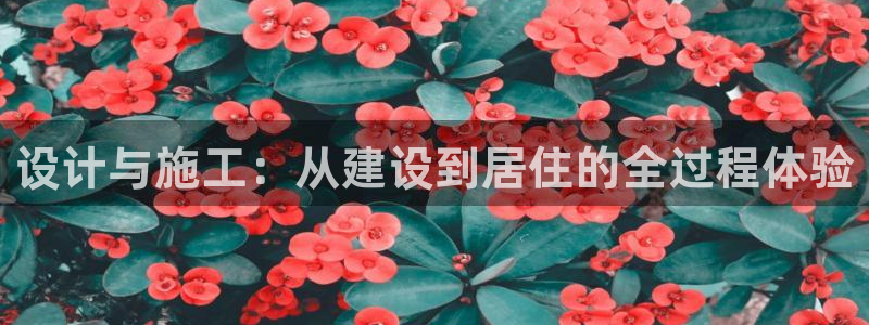 威九国际宣传片