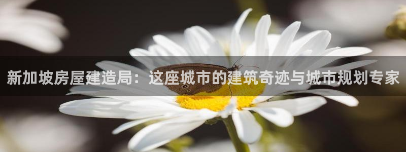 威九国际网站入囗