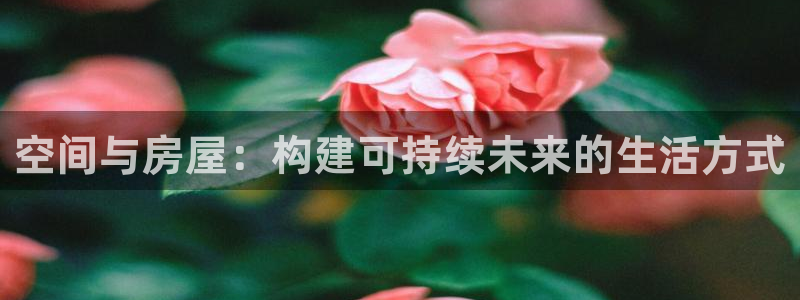 威九国际的金融服务怎么样：空间与房屋：构建可持续未来的生活方式