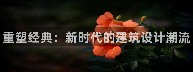 威九国际Sxsx