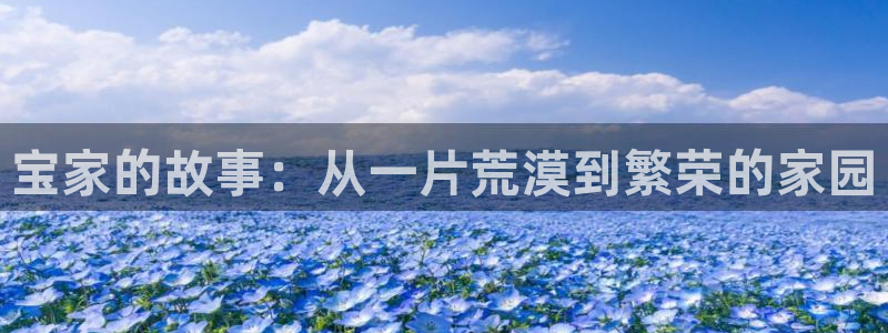 威九国际app网站官网：宝家的故事：从一片荒漠到繁荣的家园