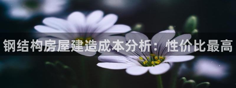 威九国际可以提现吗安全吗
