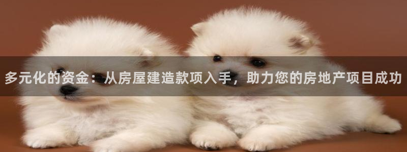 威九国际网站进入(中国)有限公司-官网：多元化的资金：从房屋建造款项入手，助力您的房地产项目成功