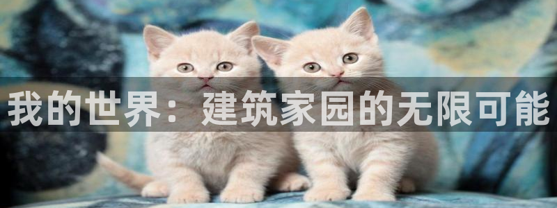 威九国际78m小说：我的世界：建筑家园的无限可能