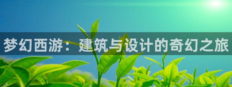 威九国际8ⅹ8x