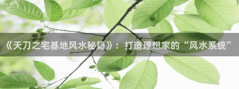 威九国际最新网站