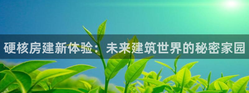 威九国际官网登录入口网站：硬核房建新体验：未来建筑世界的秘密家园