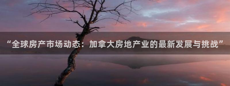 威九国际安全吗：“全球房产市场动态：加拿大房地产业的最新发展与挑战”