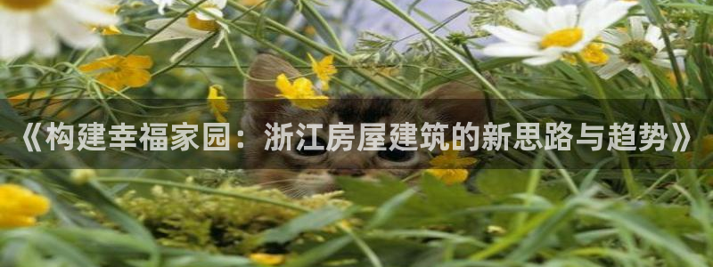 威九国际app客服电话多少：《构建幸福家园：浙江房屋建筑的新思路与趋势》
