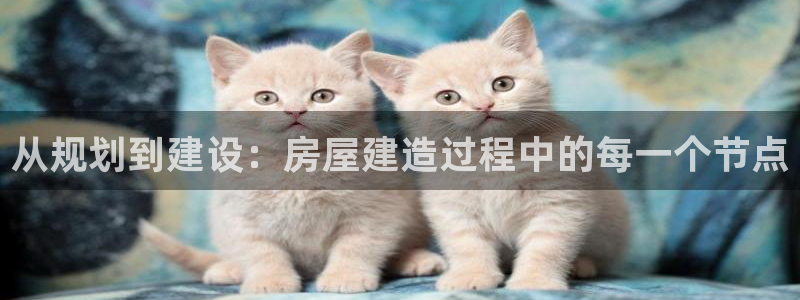 威九国际66m66：从规划到建设：房屋建造过程中的每一个节点