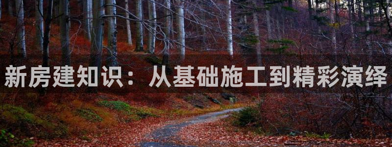 威九国际网站下载：新房建知识：从基础施工到精彩演绎