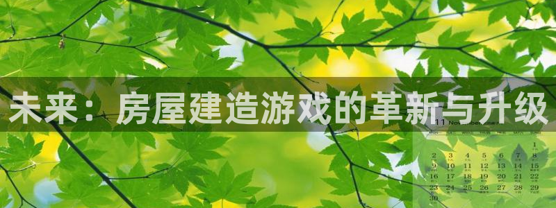 威九国际78mb42：未来：房屋建造游戏的革新与升级