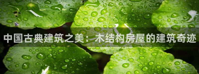 威九国际app客服电话：中国古典建筑之美：木结构房屋的建筑奇迹