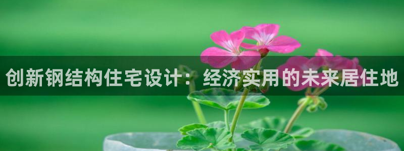 威九国际客服电话：创新钢结构住宅设计：经济实用的未来居住地