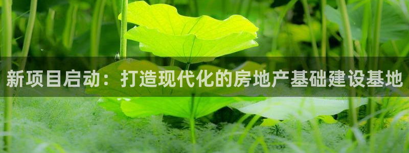 威九国际安全吗：新项目启动：打造现代化的房地产基础建设基地