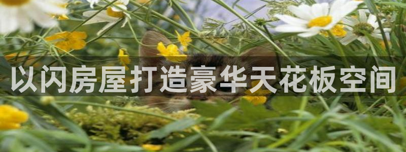 威九国际78mob官网版：以闪房屋打造豪华天花板空间