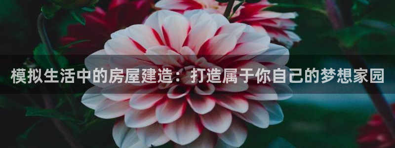 威九国际客服电话号码：模拟生活中的房屋建造：打造属于你自己的梦想家园