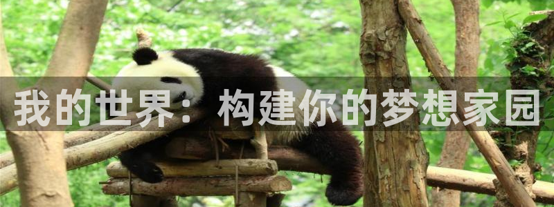 威九国际A：我的世界：构建你的梦想家园