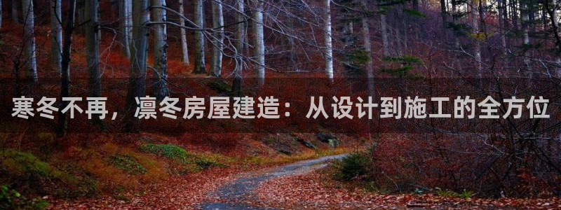 威九国际旗下艺人都有谁：寒冬不再，凛冬房屋建造：从设计到施工的全方位