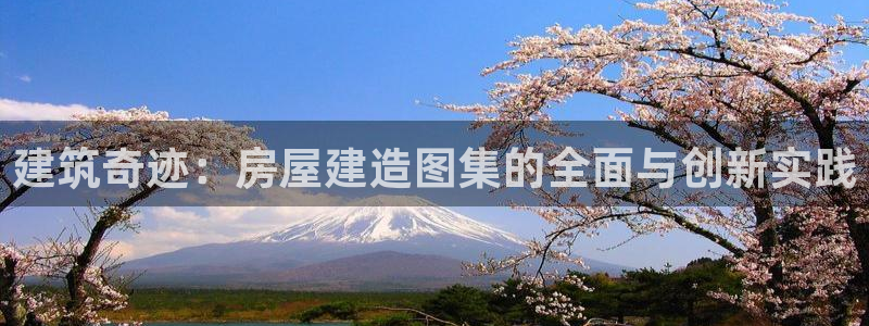 威九国际78cm：建筑奇迹：房屋建造图集的全面与创新实践