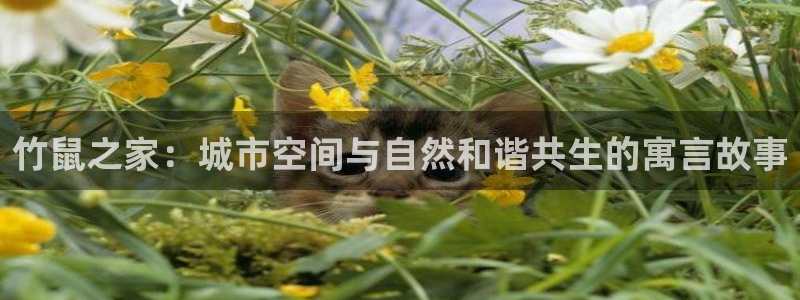 威九国际网站怎么样可靠吗：竹鼠之家：城市空间与自然和谐共生的寓言故事