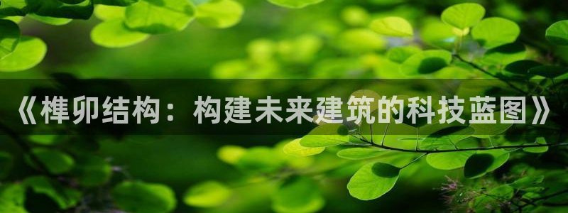 威九国际ppt免费：《榫卯结构：构建未来建筑的科技蓝图》