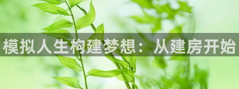 威九国际官网登录入口下载：模拟人生构建梦想：从建房开始