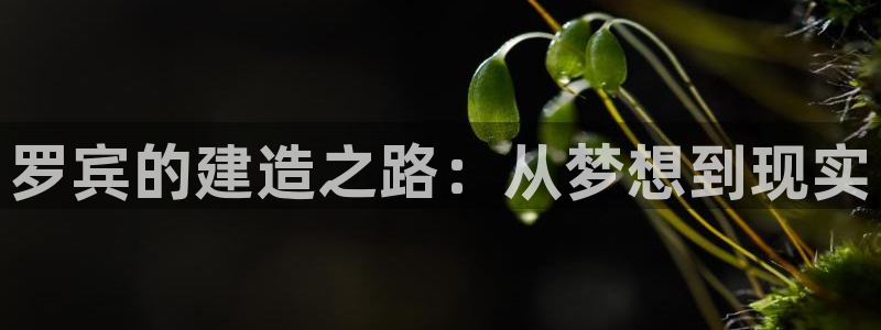 威九国际mv：罗宾的建造之路：从梦想到现实