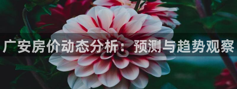 威九国际66m-66：广安房价动态分析：预测与趋势观察