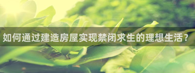 威九国际电子有限公司：如何通过建造房屋实现禁闭求生的理想生活？