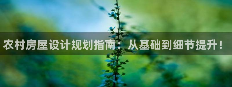 威九国际能提现吗安全吗：农村房屋设计规划指南：从基础到细节提升！