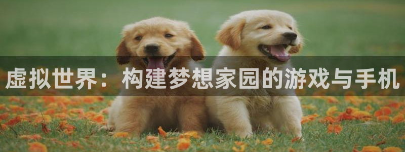 威九国际成长模式怎么样