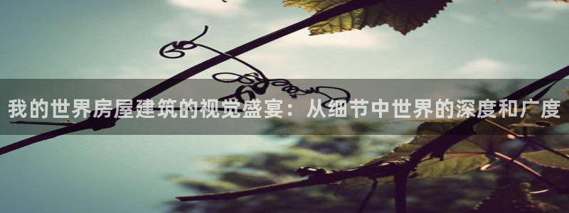 威九国际v8：我的世界房屋建筑的视觉盛宴：从细节中世界的深度和广度