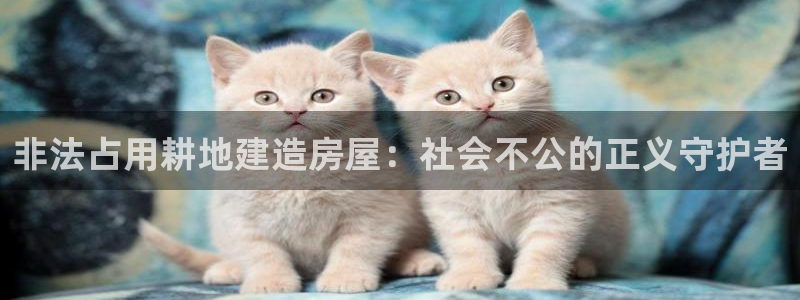 威九国际网站客服电话多少啊：非法占用耕地建造房屋：社会不公的正义守护者