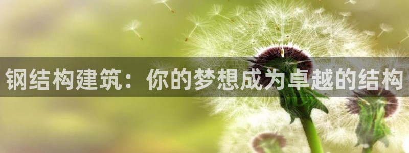 威九国际78mb特点：钢结构建筑：你的梦想成为卓越的结构