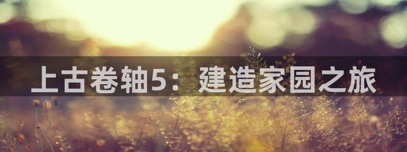 威九国际v96bet官网版：上古卷轴5：建造家园之旅