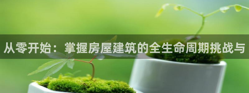 威九国际游戏网站：从零开始：掌握房屋建筑的全生命周期挑战与