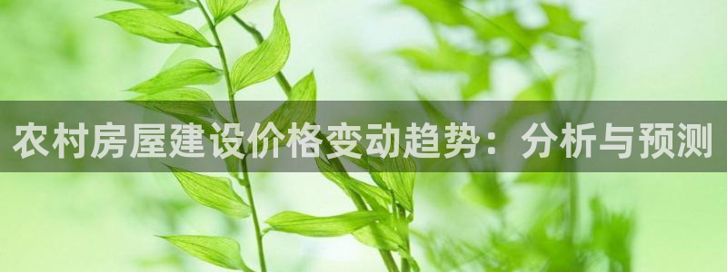 威九国际app客服电话多少：农村房屋建设价格变动趋势：分析与预测
