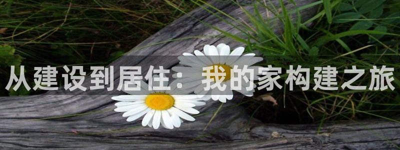 威九国际网站入口官网首页下载：从建设到居住：我的家构建之旅