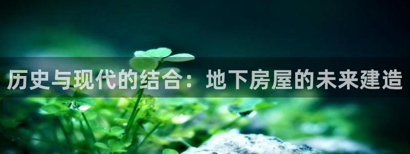 威九国际瘫痪丈夫眼见证：历史与现代的结合：地下房屋的未来建造