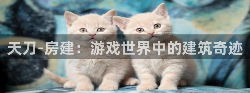 威九国际网页看视频弹窗的广告拦截插件：天刀-房建：游戏世界中的建筑奇迹