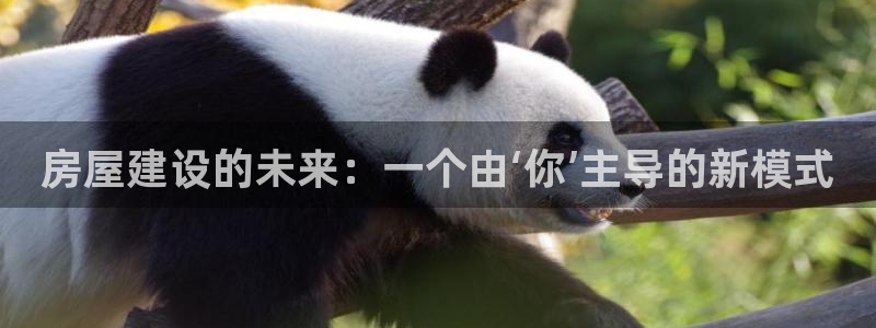 威九国际游戏