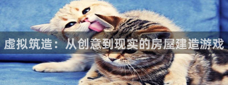 威九国际网站怎么样知乎：虚拟筑造：从创意到现实的房屋建造游戏
