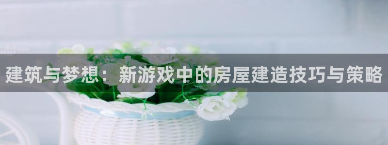 威九国际网站怎么样可靠吗：建筑与梦想：新游戏中的房屋建造技巧与策略