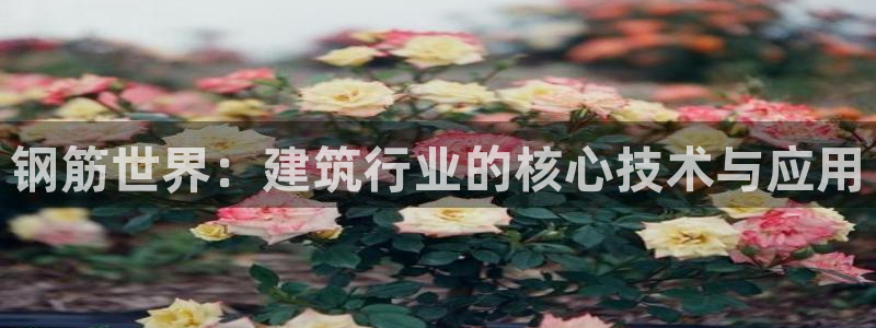 威九国际78mann：钢筋世界：建筑行业的核心技术与应用
