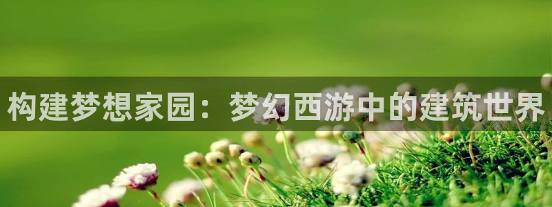 威九国际78mB官网版