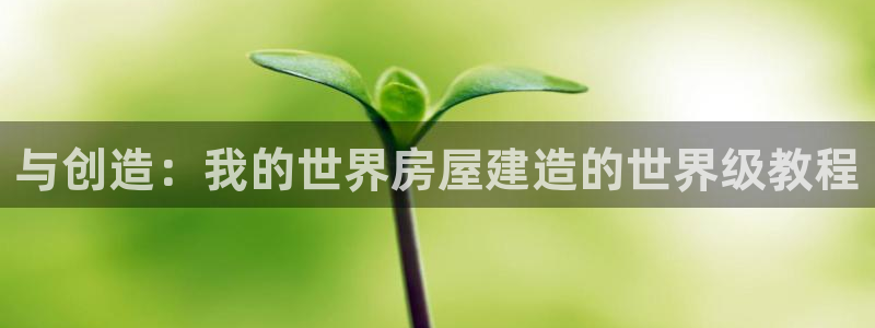 威九国际v96.81t：与创造：我的世界房屋建造的世界级教程