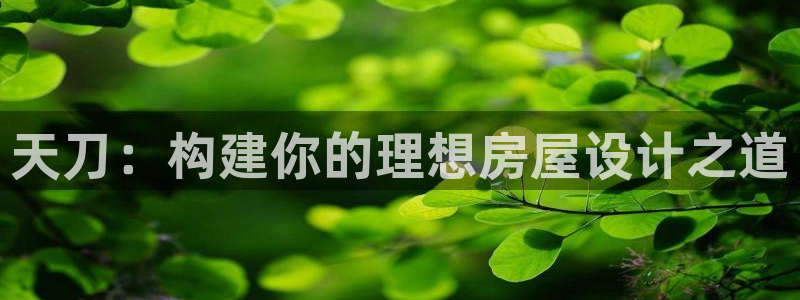 威九国际网站影视：天刀：构建你的理想房屋设计之道